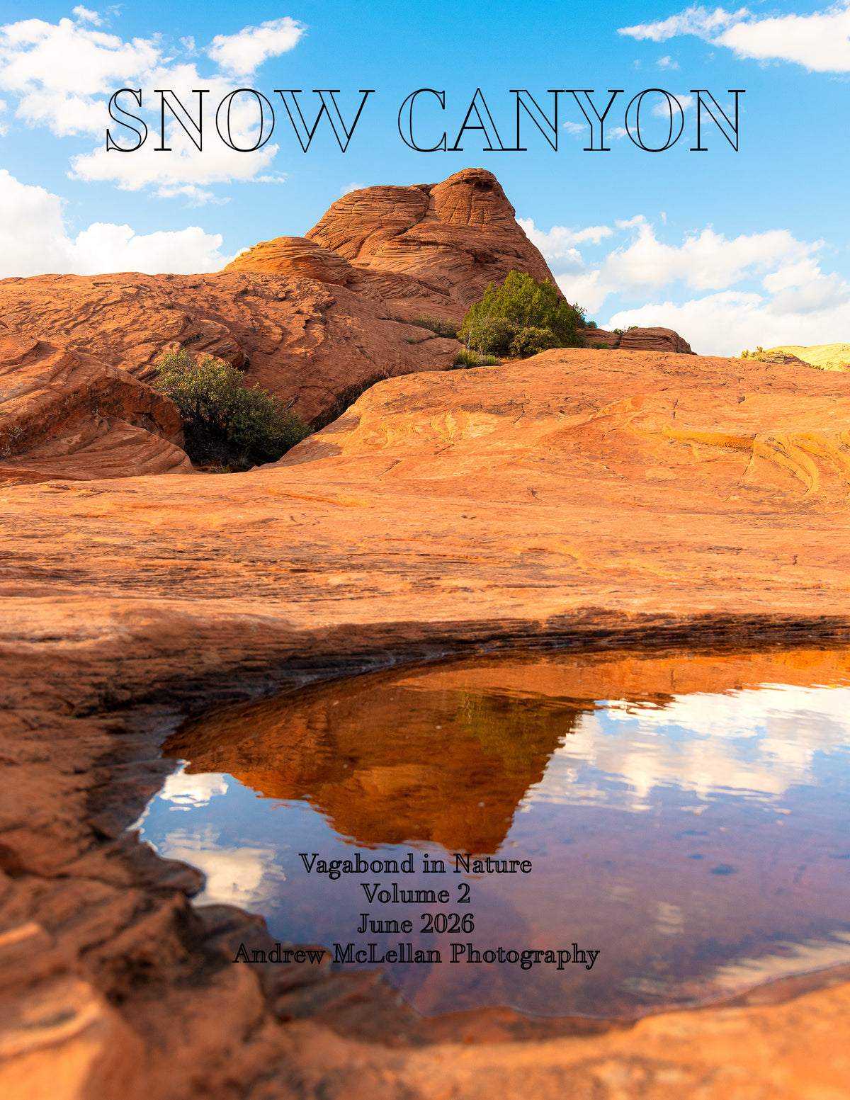 Individual Magazine - Snow Canyon