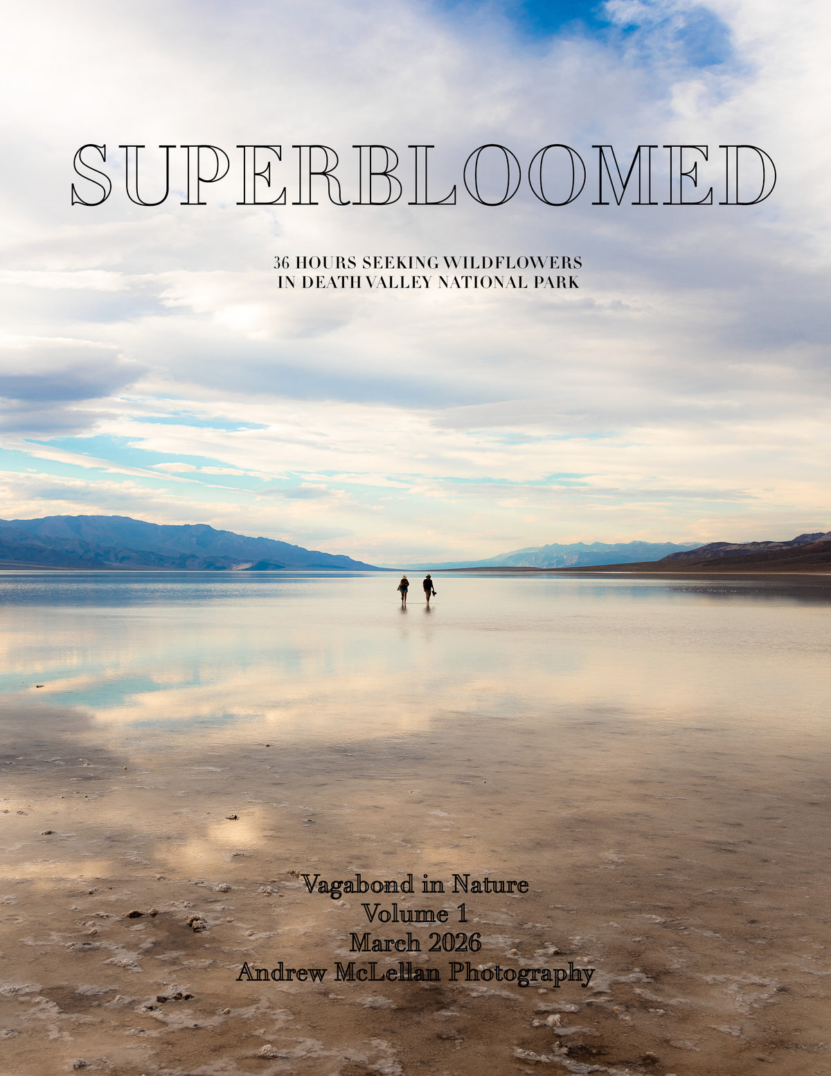 Individual Magazine - Superbloomed
