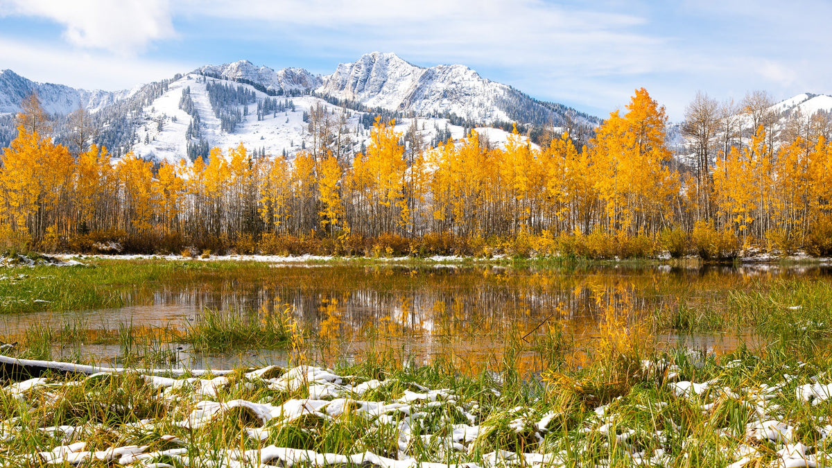 Fall Colors 2025