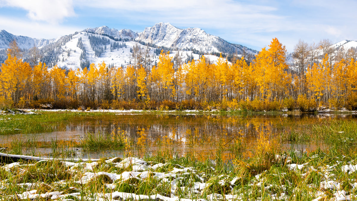 Where Seasons Meet - Steinway
